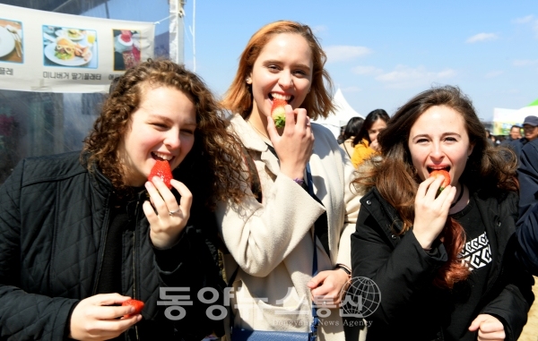 딸기축제장을 찾은 외국인들, 딸기맛보고 '환호'(사진=논산시청 제공)