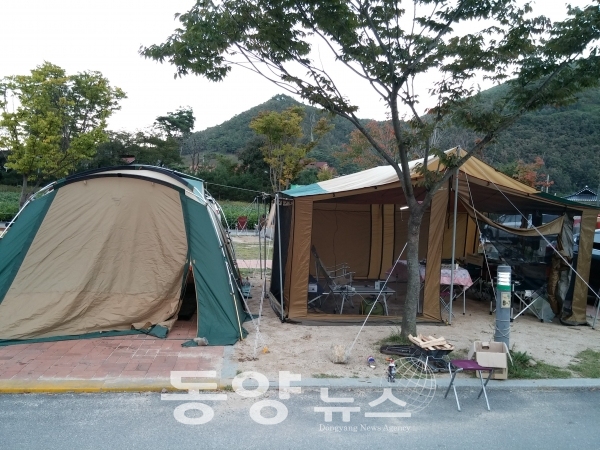 강원도 영월 동강오토캠핑장에 텐트를 치고 여행을 하다(사진=서인경 기자)