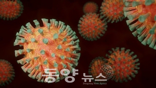 코로나19 바이러스(사진=동양뉴스 자료)