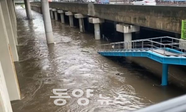 [속보] 서울 폭우 계속...도림천 시민 1명 사망(사진=온라인 커뮤니티)