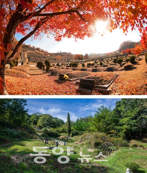 서울시가 5곳 서울시립묘지에 분묘개장·화장 지원을 위해 분묘 1기 당 최대 50만원을 지원한다.(사진=서울시청 제공)