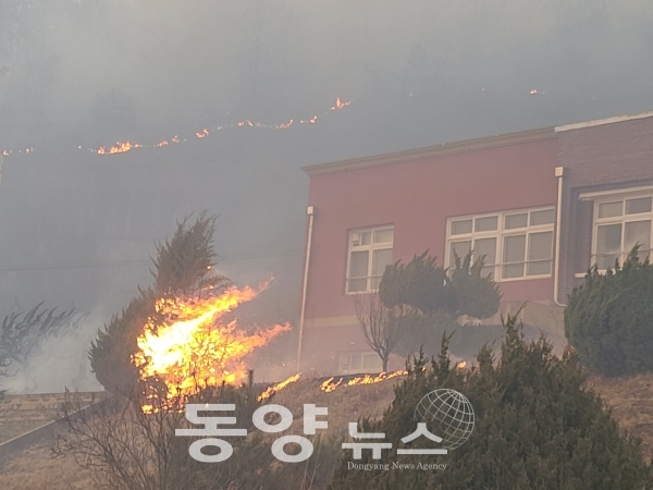 경북 안동시 임동면 소재 페교된 임동중학교 건물이 화염에 휩싸였다. (사진=윤진오 기자)