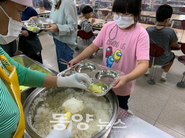 음성군이 관내 33개 유치원, 초등학교, 중학교 학생들을 위해 지역에서 생산한 멜론 872㎏을 학교급식 식재료로 공급하고 있다. (사진=음성군 제공)
