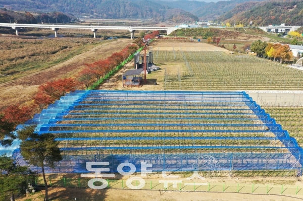 경북 청송우량대목 전문육성센터(사진=청송군 제공)