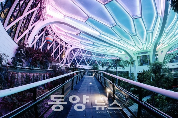 서울식물원 온실 야경 전경(사진=서울시 제공)