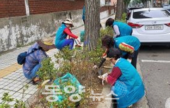 시민참여형 가로수지킴이’ 자원봉사 활동.(사진= 인천시 제공)