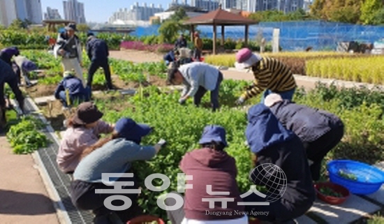 도시농업 기초·전문가 양성 교육.(사진= 인천농업기술센터 제공)