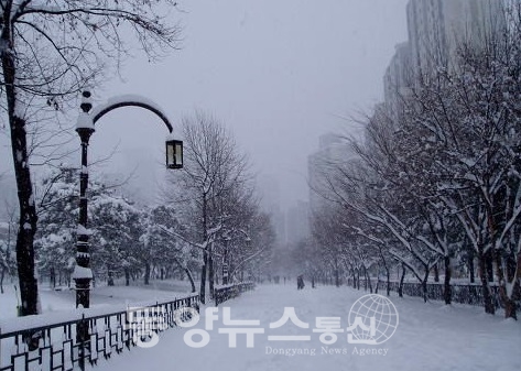 [이 시각 전국 날씨] 전국 곳곳 '눈'…일부 지역 '폭설' 가능성(사진=온라인 커뮤니티)