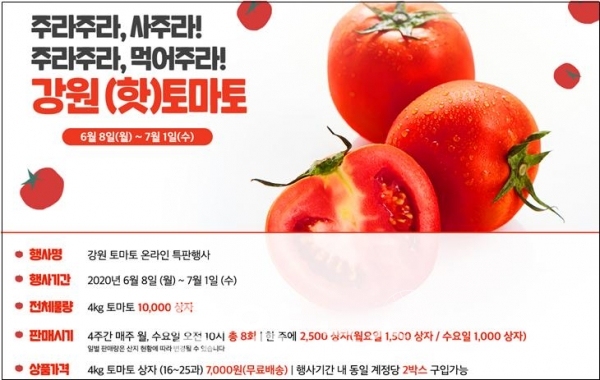 강원도가 오는 8일부터 매주 월요일과 수요일 오전 10시에 강원도 농수특산물 진품센터에서 토마토를 온라인으로 판매한다.(사진=강원도청 제공)