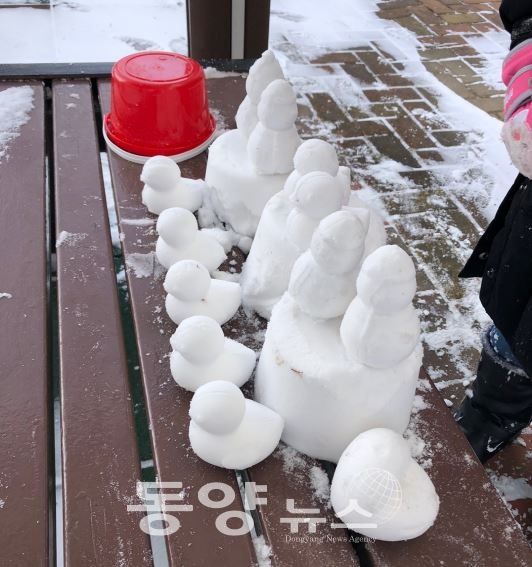 [동양뉴스] 우연주 기자 = 지난 6일부터 전국 곳곳에 많은 눈이 내린 가운데, 아이들이 오리 눈사람을 만들고 있다. (사진=우연주 기자)