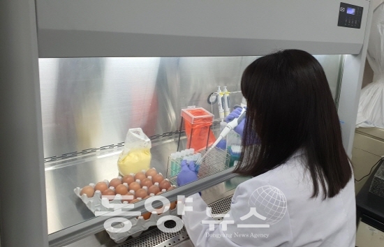 계란 잔류물질 검사.(사진= 인천보건환경연구원 제공)