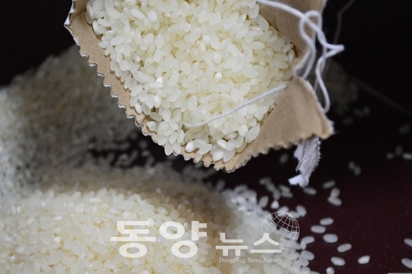 쌀. (사진=동양뉴스DB)