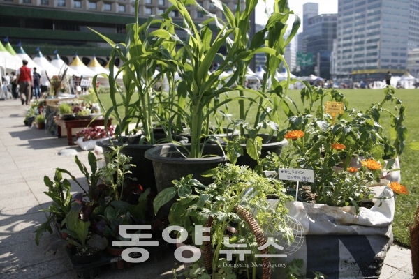 서울시는 오는 7~8일 서울광장과 청계광장 일대에서 '2022 서울도시농업박람회'를 개최한다.(사진=서울시 제공)