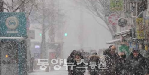 [이 시각 날씨] 모레 까지 '눈'...대설주의보 지역 현황(사진=온라인 커뮤니티)