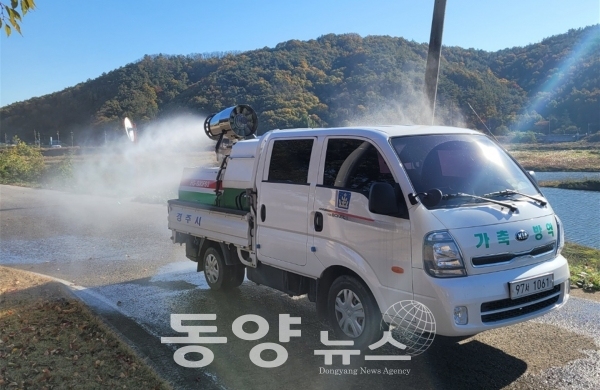 조류인플루엔자 방역 모습(사진=동양뉴스)